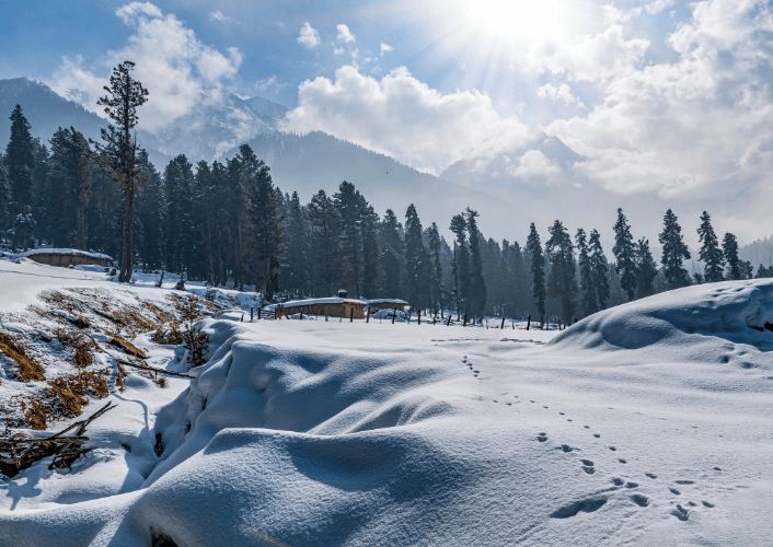Kashmir Couple Special | Blissful Vacation